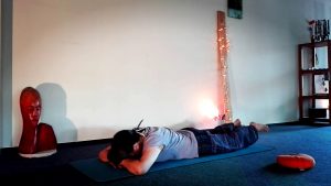 26-einfache-Heuschrecke