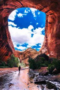 Loslassen Lernen Kurse