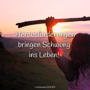 Herausforderungen-bringen-schwung-ins-leben