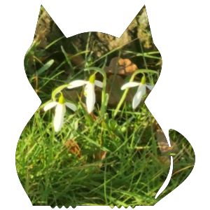 Anleitung für Freude aus deinem Inneren