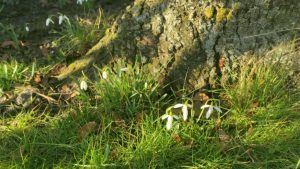 Anleitung für Freude aus deinem Inneren