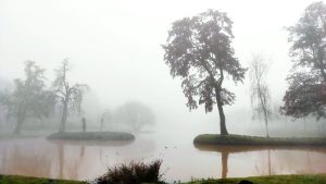 Stimmungsaufheller gegen dunkle Gefühle und Gedanken