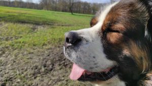 Positive Gefühle stärken mit dieser Strategie