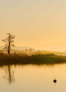 Inneren Frieden finden