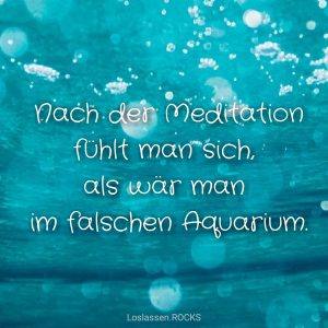 Nach-der-Meditation-fühlt-man-sich-als-wär-man-im-falschen-Aquarium-