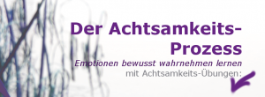 Achtsamkeits Prozess Banner Emotionen wahrnehmen 2