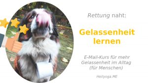 Gelassenheit lernen mit den Snacks für fortgeschrittene Gelassenheit