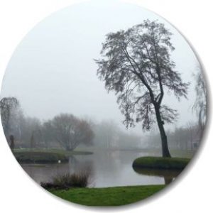 See im Nebeldunst-270x-Durchfahrt-rund See im Nebeldunst im Dezember
