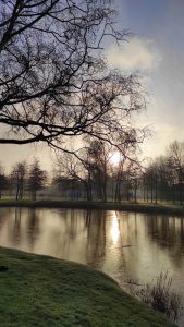 Sonnenaufgang im Januar 2021 bei Frost im Stadtpark