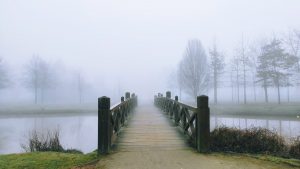 Dein Weg ist da wo deine Fehler sind