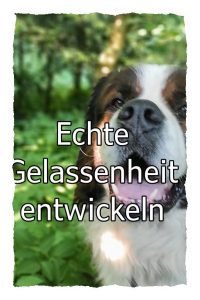 echte gelassenheit entwickeln