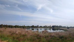 Papenburger Moorlandschaft mit Tümpel und viel Himmel