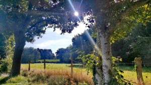 Resilienz lernen, Krisen meistern: Emotionale Bewusstheit im Alltag