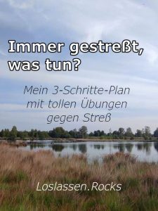 immer gestresst was tun mein 3 schritte plan mit übungen gegen stress