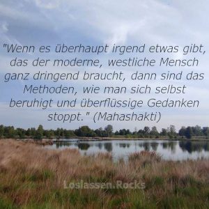 "Wenn es überhaupt irgend etwas gibt, das der moderne, westliche Mensch ganz dringend braucht, dann sind das Methoden, wie man sich selbst beruhigt und überflüssige Gedanken stoppt." (Mahashakti)