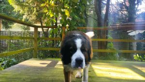 Innere Nervosität loswerden mit Abgrenzung