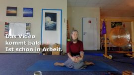 Das Video kommt bald - ist in Arbeit.