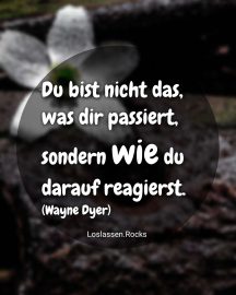 Du bist nicht das, was dir passiert, sondern wie du darauf reagierst. (Wayne Dyer)