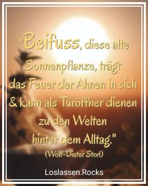 "Beifuss, dieser alte Sonnenpflanze, trägt das Feuer der Ahnen in sich und kann als Türöffner dienen zu den Welten hinter dem Alltag."