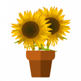 Zwei Sonnenblumen im Blumentopf